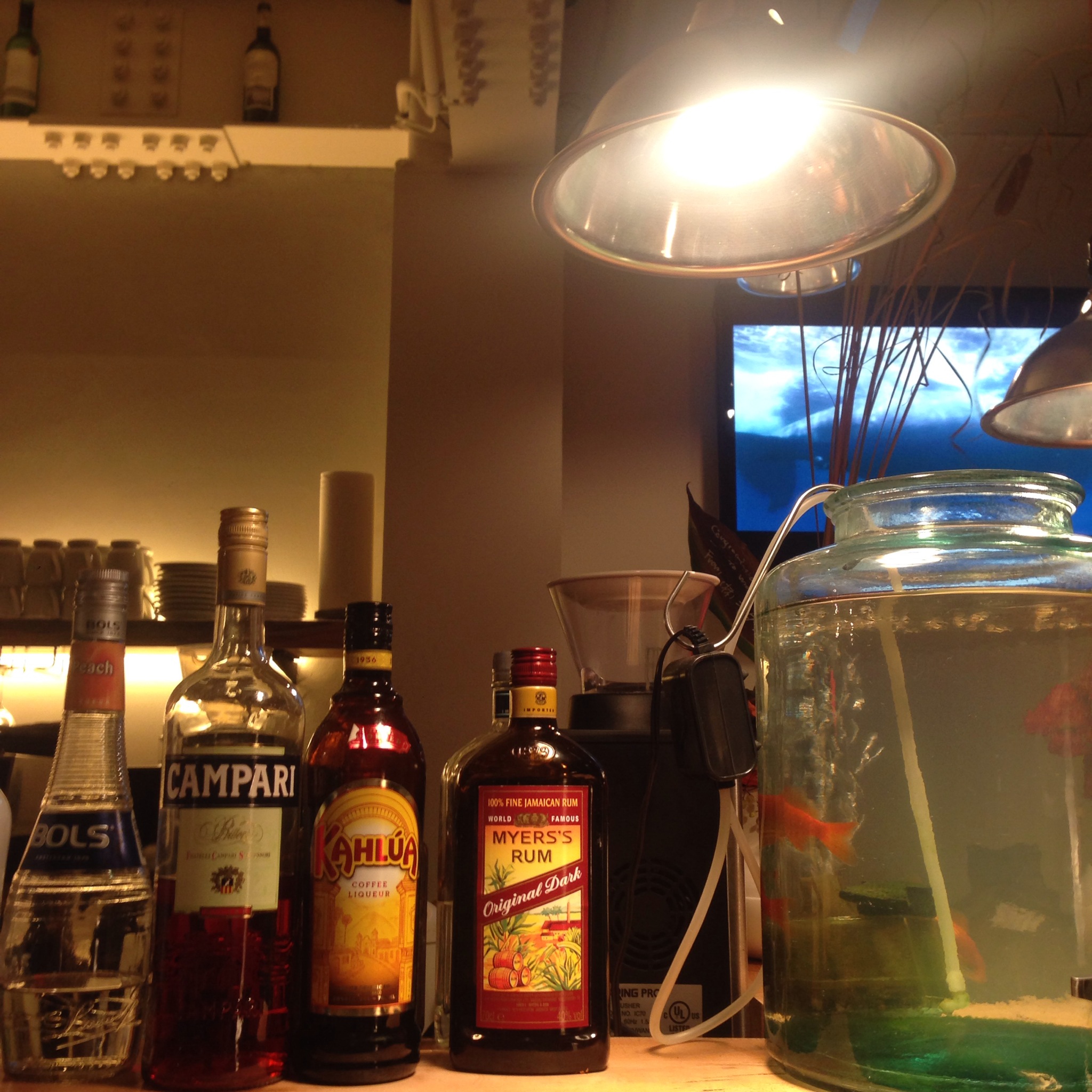 やたらとミーティングしたがる私達！今回はおされカフェにて*\(^o^)/*