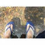 小幡緑地行った事ありますか？