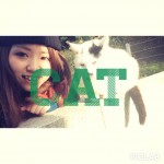 噂の猫寺へ行ってきました✳︎