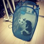 私の大好きな、、♡