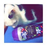 私のハマっているモノ