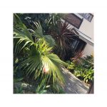 3月19日20日は定休日です！！