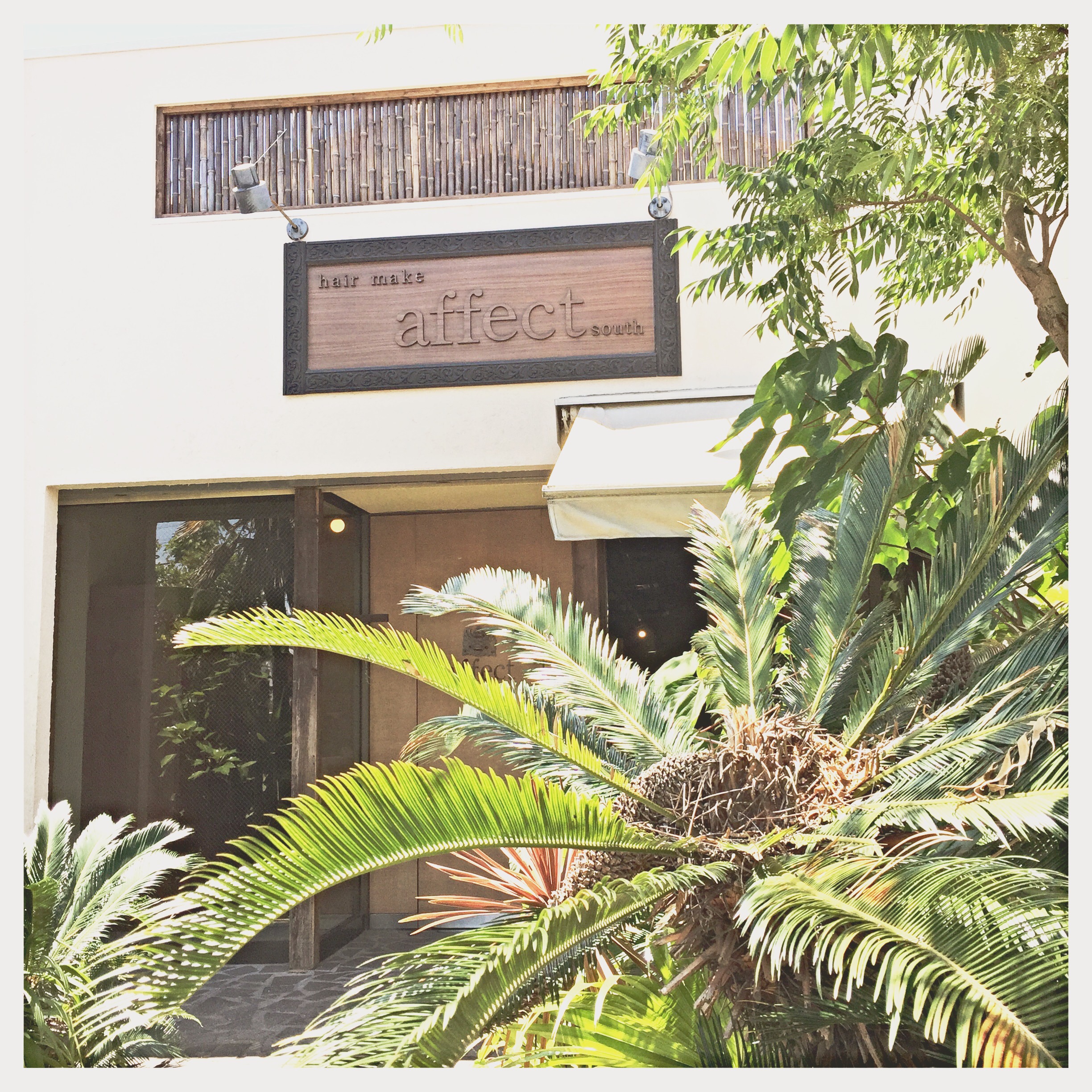 待ちに待ったあれが届いた