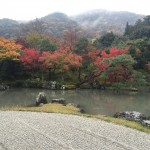 ゆったり１泊２日京都紅葉旅行