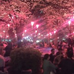 お花見　IN 鶴舞公園