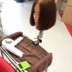 50回目のブログ、入社5ヶ月目の僕、モデル募集中！