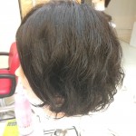 久しぶりの近況報告