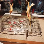 突撃旅行in下呂温泉