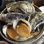 食べ放題(º∀º)バスツアー行ってきた☆