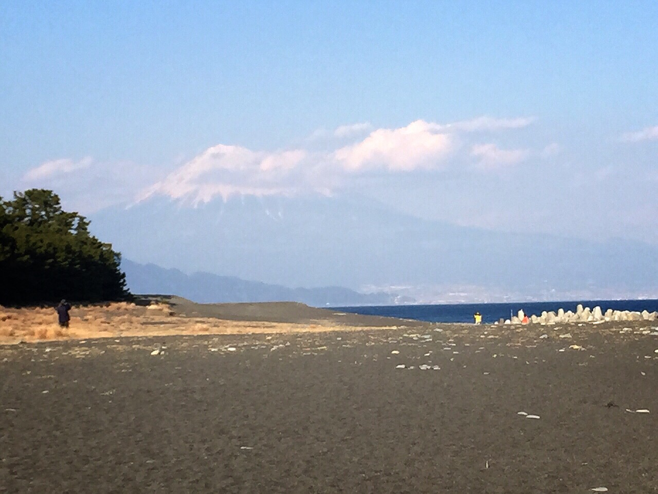 静岡〜\( ˆoˆ )/