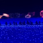 なばなの里〜ウインターイルミネーション 2014〜