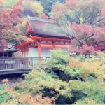 紅葉の秋〜京都へ