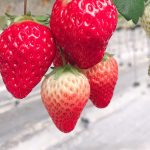 静岡旅行PART1☆