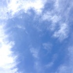 我が家に来た天使をご覧ください!可愛すぎてどうしょうもないので、つぶやきみたいになってます☆