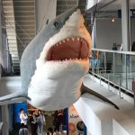 久しぶりに大阪に行ってきました！