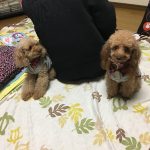 今年も残りわずかになりましたね‼︎