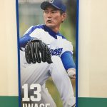 久しぶりに名古屋ドーム行って来ました☆