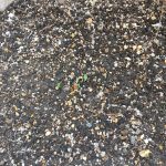 最近新たに挑戦している事があります!