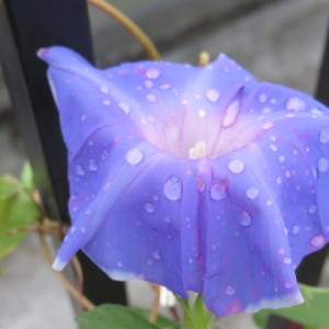 落ち込む方法 jun blog