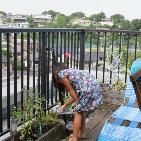 affect jun blogハーゲンダッツにハートが！_04