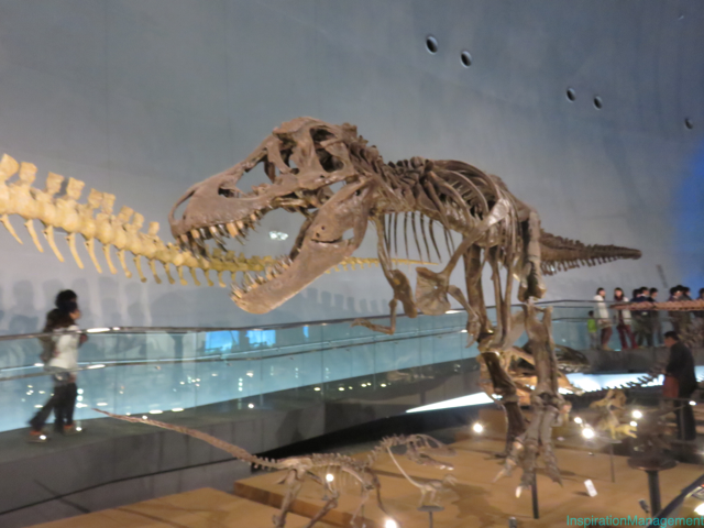 IMG_3183福井県立恐竜博物館_junnnosuke_manager