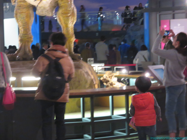 IMG_3161福井県立恐竜博物館_junnnosuke_manager