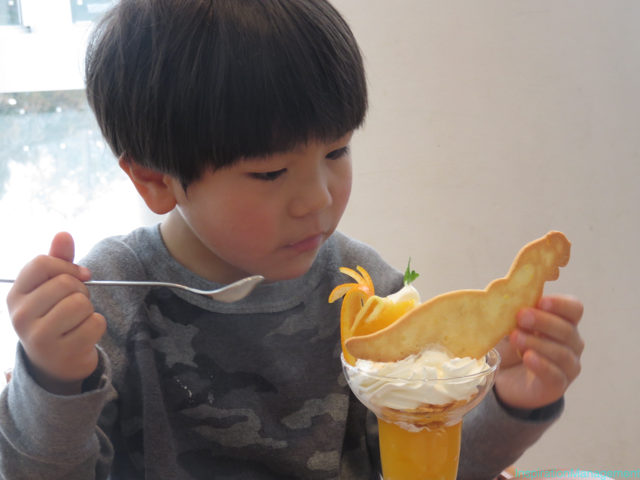 IMG_3286福井県立恐竜博物館_junnnosuke_manager