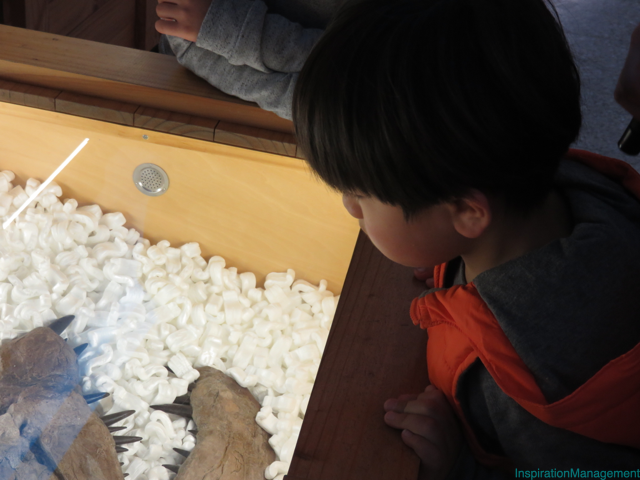 IMG_3278福井県立恐竜博物館_junnnosuke_manager