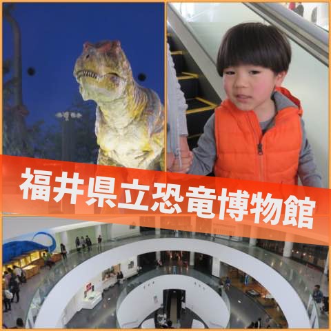 福井県立恐竜博物館_junnnosuke_manager