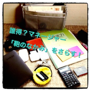 Information Management_junnouskejun-affect-manager-300x300