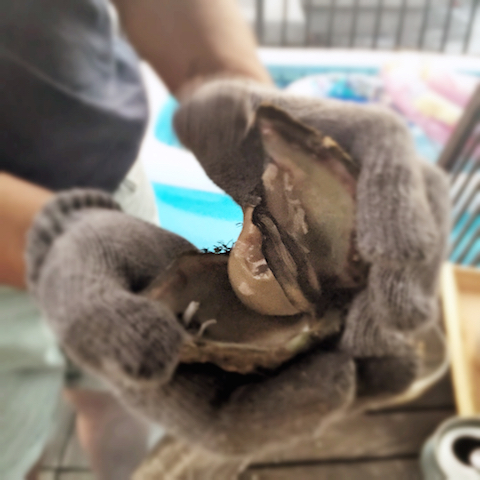 インスピレーション・マネジメント プライベート003