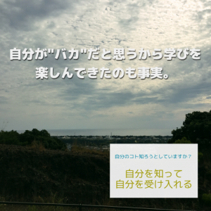 こんなバカにはなりたくない_Inspiration Management