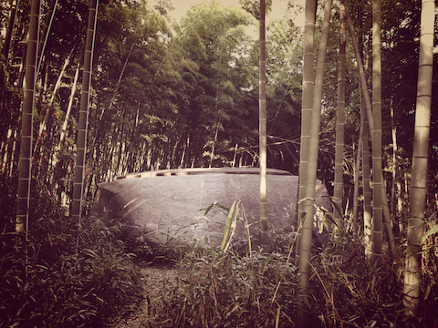 Inspiration_Management／天河神社003