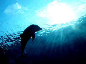 inspirationmanagement