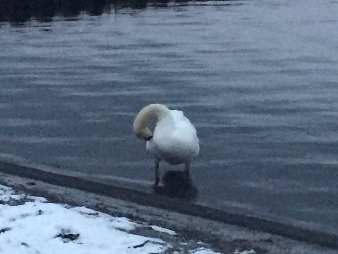 ありのままの自分で働く_リトリート004