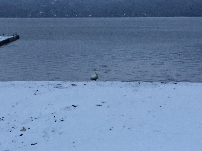 ありのままの自分で働く_リトリート002