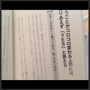 img_2992_fotor_fotor