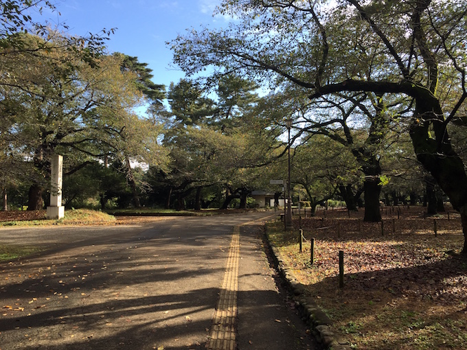 大宮公園