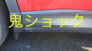 鬼ショック２連発！！！ほんとトホホだよ