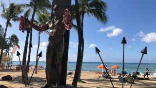 天国とはこの事なんでしょうか、ハワイへ行ってきました