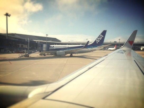 affect,アフェクト、くわも、桑本