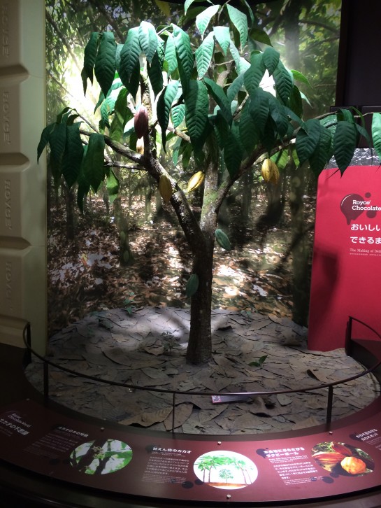 affect,アフェクト、くわも、桑本