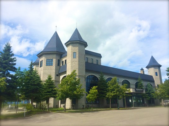 affect,アフェクト、くわも、桑本