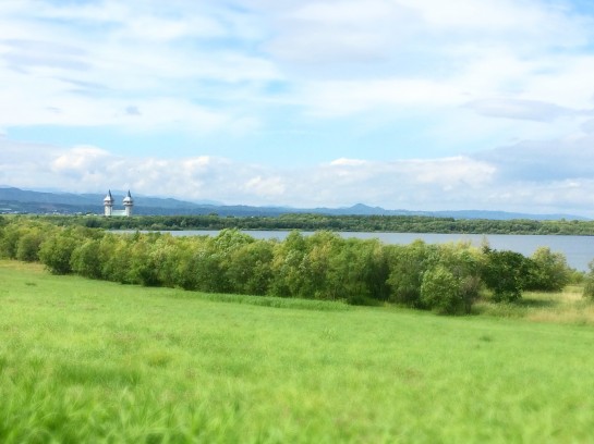 affect,アフェクト、くわも、桑本