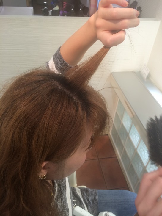 くわも、桑本、affect、アフェクト