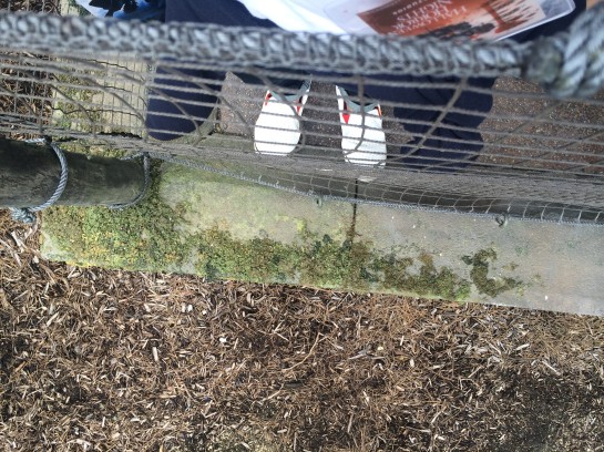 くわも、桑本、affect、アフェクト、名古屋、美容師、新瑞橋