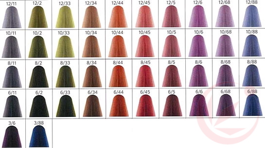 くわも、桑本、affect、アフェクト、名古屋、美容師、新瑞橋