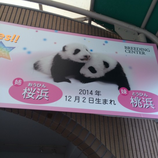 くわも、桑本、affect、アフェクト、名古屋、美容師、新瑞橋、