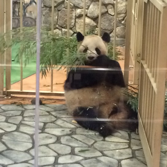 くわも、桑本、affect、アフェクト、名古屋、美容師、新瑞橋、