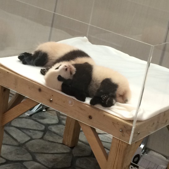 くわも、桑本、affect、アフェクト、名古屋、美容師、新瑞橋、